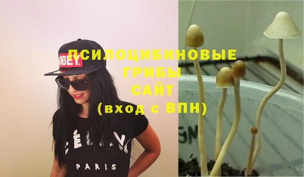 прущий лед Липки