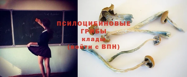 гидропоника Лиски
