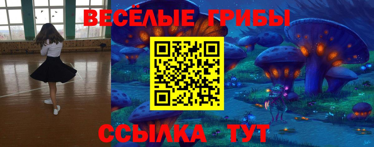 Псилоцибиновые грибы MAGIC MUSHROOMS  Вход с VPN  Смоленск 