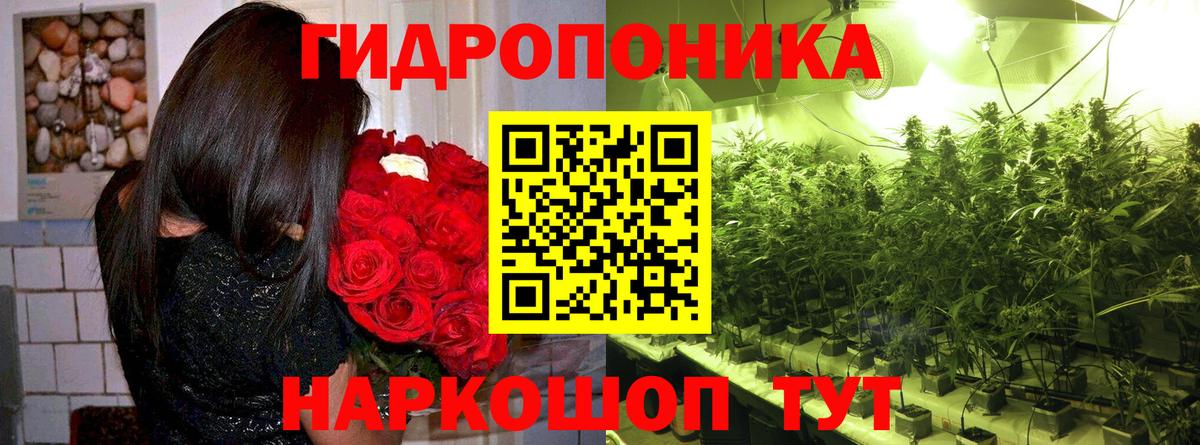 Бошки Шишки план Смоленск